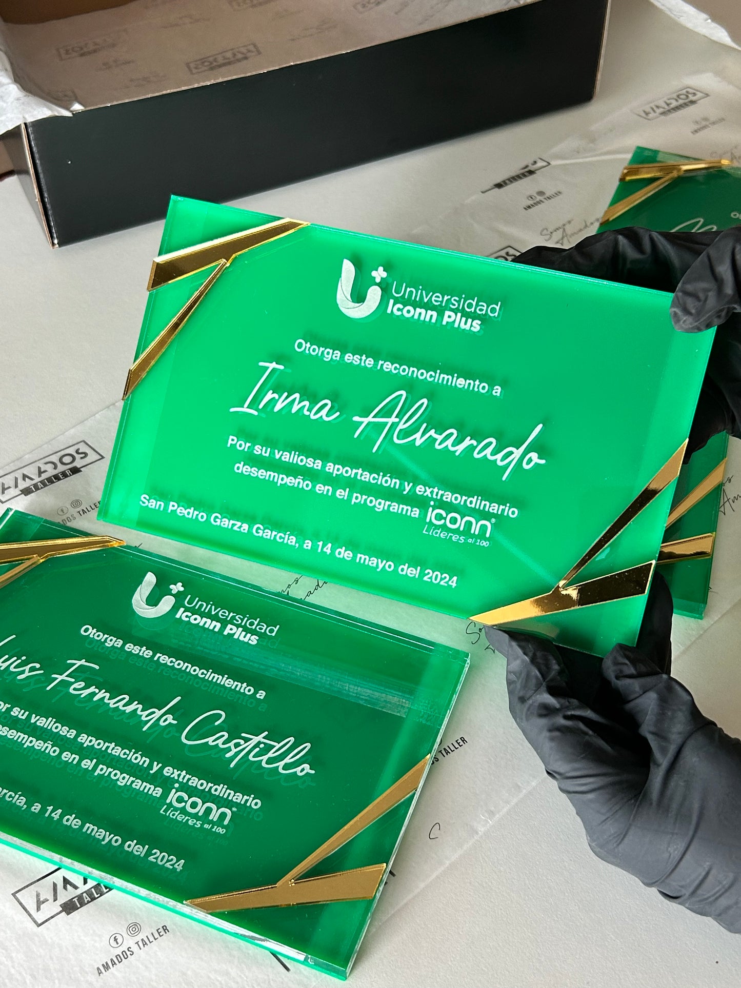 Reconocimiento Universidad ICONN plus
